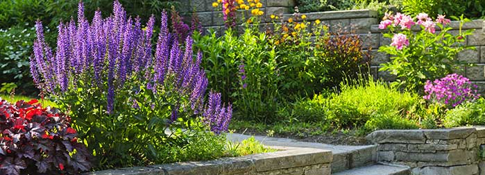 Hardscapes & Outdoor Living Hardscape & Outdoor Living