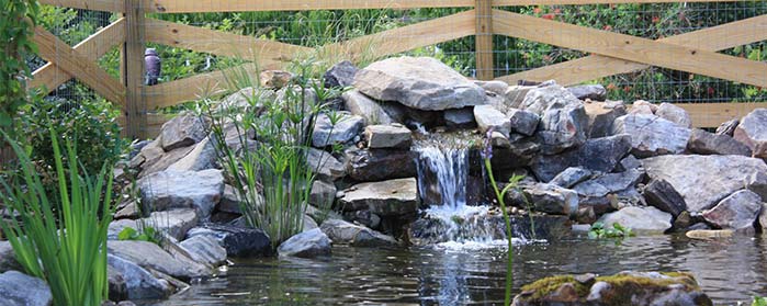 Landscape Installation Landscape Installation